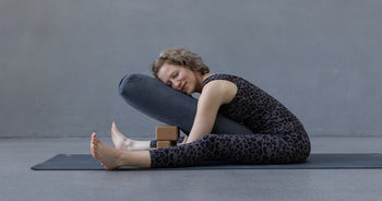 Yoga For Healthy Aging with Elena Lustig